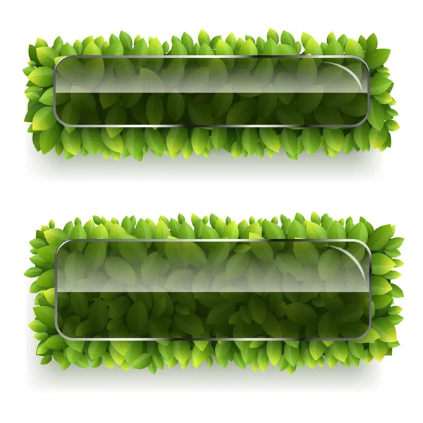 Banner with green leaves — Stock Vector