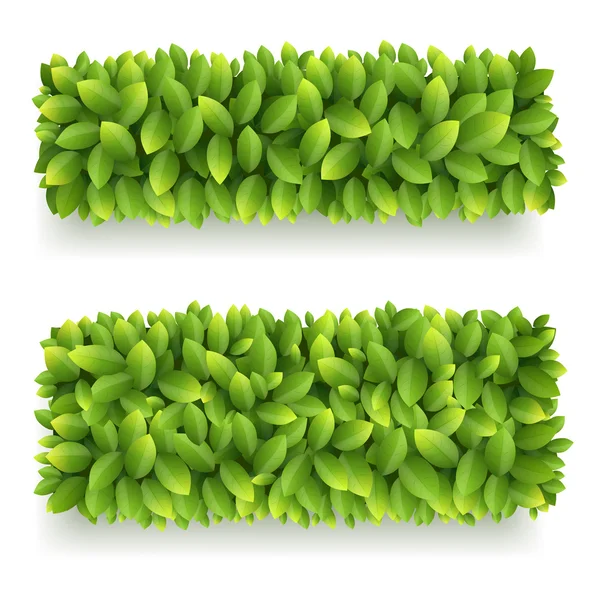 Banner con hojas verdes — Vector de stock