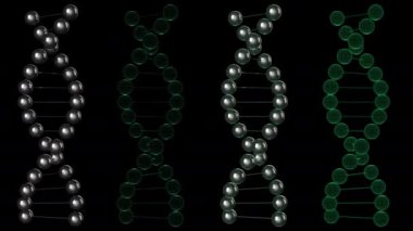 DNA döndürme döngüsü
