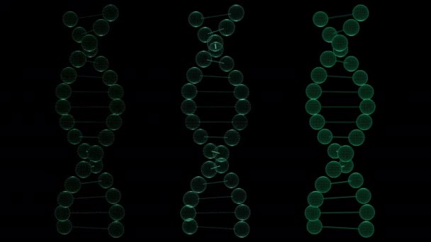 Lazo giratorio de ADN — Vídeo de stock