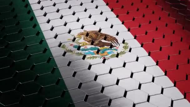 Mexico shield flag — Stock Video