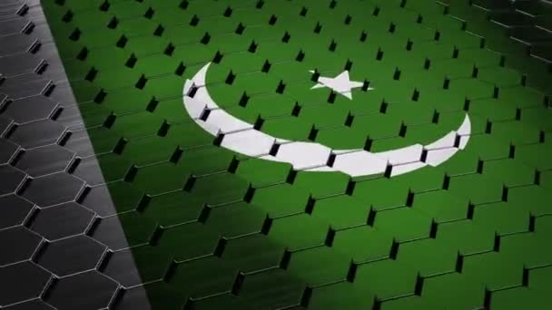 Bandera de Pakistán — Vídeo de stock