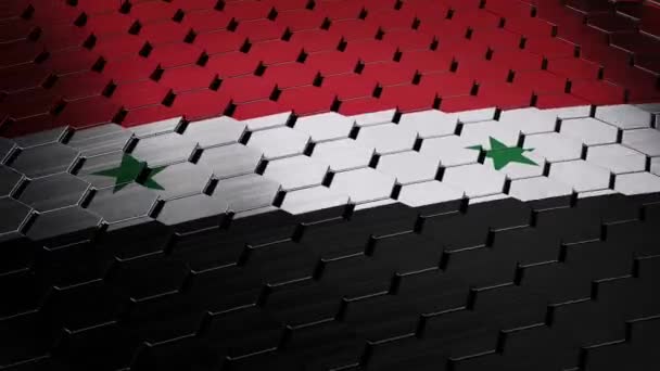 Syriens sköldflagga — Stockvideo