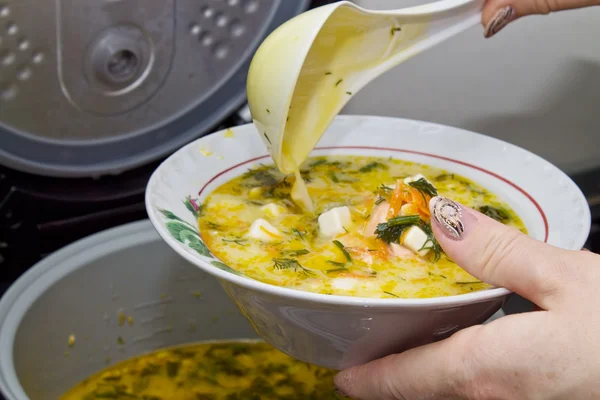 Sopa de pescado con queso Fotos de stock libres de derechos