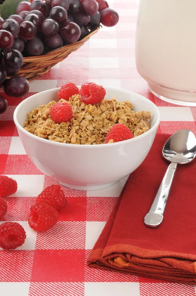 Bio-Müsli mit Himbeeren — Stockfoto