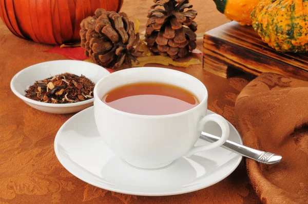 Pumpkin spice rooibos tea — Stock Photo, Image