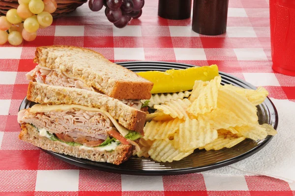 Tureky szendvics — Stock Fotó