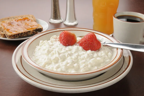 Cottage cheese — Stock Photo, Image