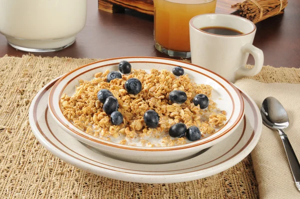 Ekologisk müsli — Stockfoto