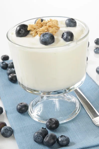 Vanillejoghurt mit Blaubeeren und Müsli — Stockfoto