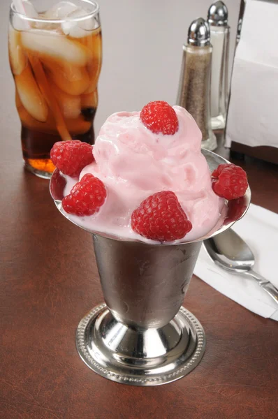 冷冻覆盆子酸奶 — 图库照片