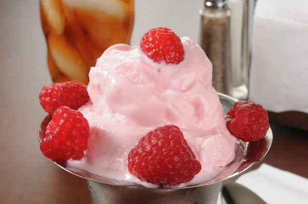 Mjukglass fryst yoghurt — Stockfoto