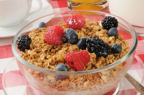 Granola taze çilek ile — Stok fotoğraf