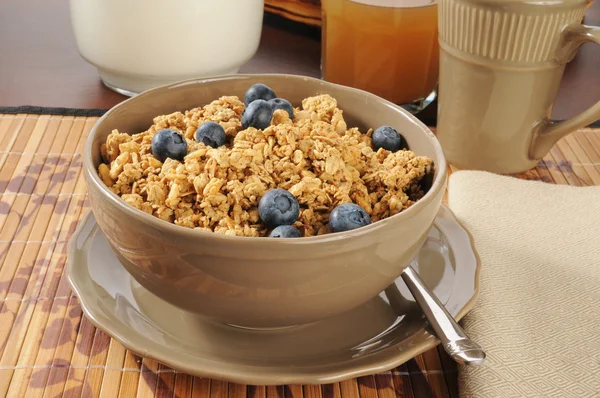 Granola with fresh blueberries — Stock Photo, Image