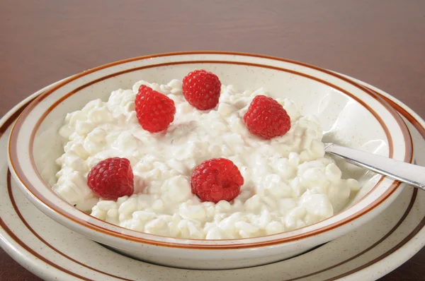 Cottage cheese with raspberries — Stock Photo, Image