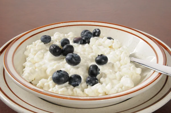 Cottage cheese with blueberries — Stock Photo, Image