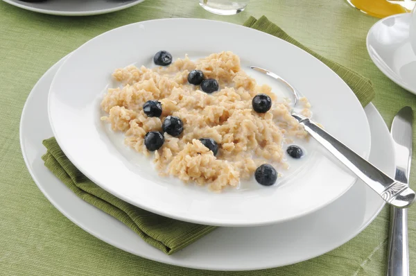 Haferflocken mit Blaubeeren — Stockfoto