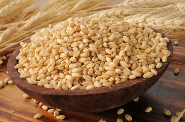 Whole wheat kernels — Stock Photo, Image