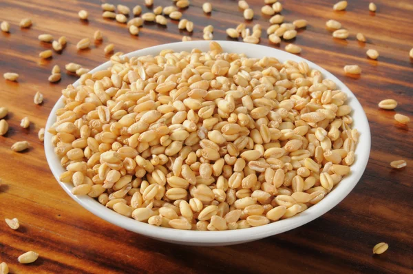 Fresh wheat kernels — Stock Photo, Image