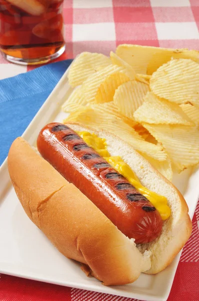 Hot dog with mustard and chips — Stock Photo, Image