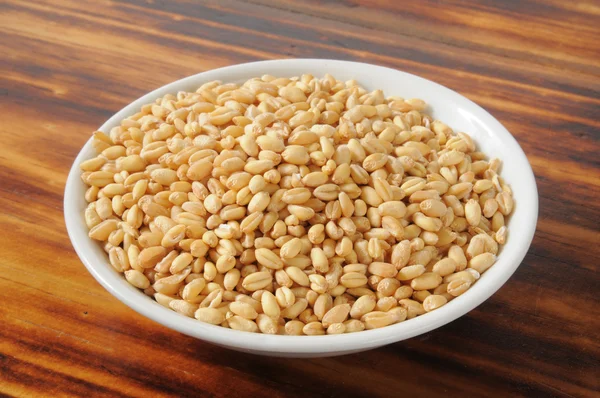 Wheat kernels — Stock Photo, Image