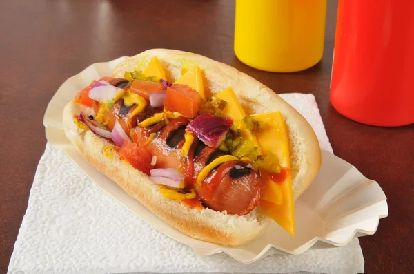 Chicago style hot dog — Stock Photo, Image