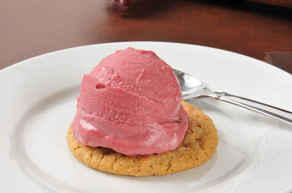 Raspberry sorbet sandwich — Stockfoto