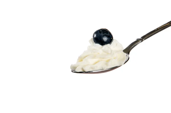 Whipped cream with a blueberry — Stock Photo, Image