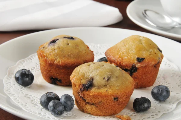 Muffins de arándanos — Foto de Stock