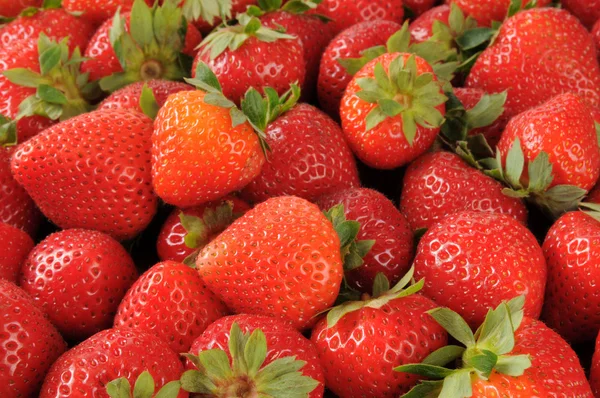 Fond de fraises fraîches — Photo