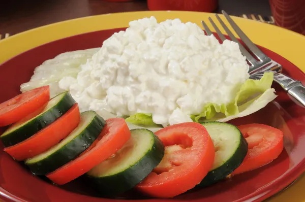 Süzme peynir salatası — Stok fotoğraf