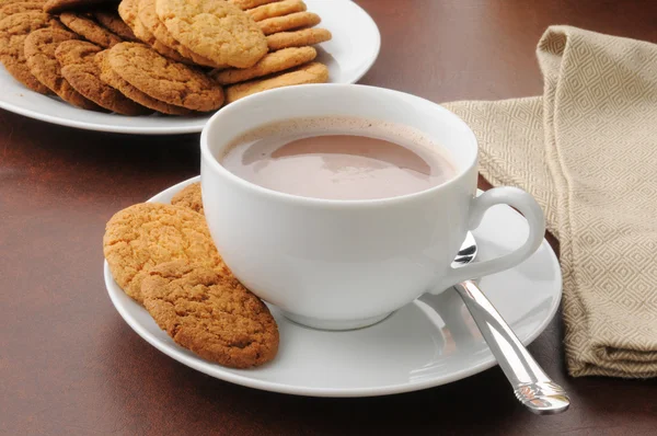 핫 초콜릿 및 쿠키 — 스톡 사진
