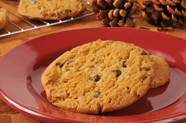 Fresh baked chocolate chip cookies — Stock Photo, Image