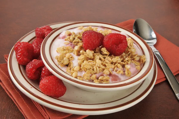 Yogur griego con frambuesas —  Fotos de Stock