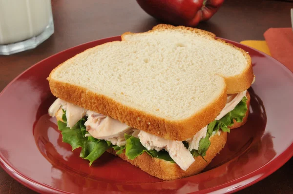 Primo piano sandwich di pollo — Foto Stock