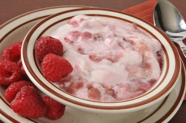 Greek yogurt with raspberries — Stock Photo, Image