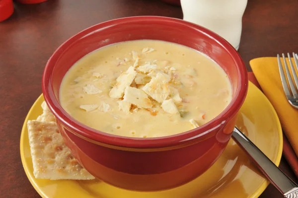 Sopa de pollo con queso —  Fotos de Stock