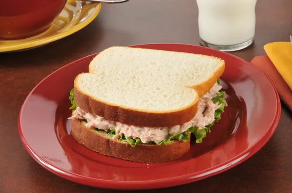 Panino al tonno fresco — Foto Stock