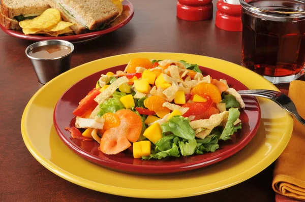 Salada tropical com sanduíche de peru e queijo suíço — Fotografia de Stock