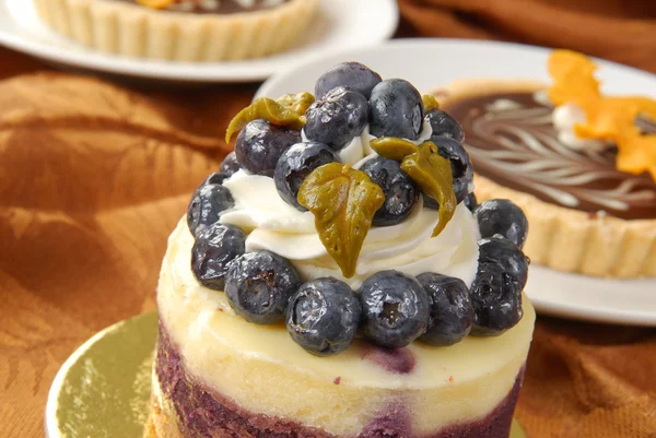 Gourmet dessert cake — Stock Photo, Image