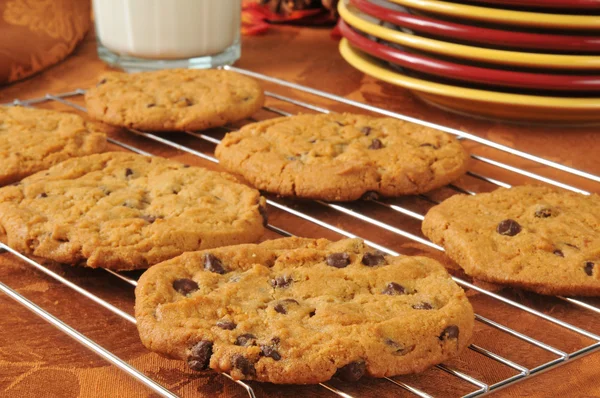 Biscuits aux pépites de chocolat sur un support de refroidissement — Photo