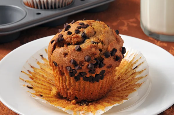 Muffin al cioccolato appena sfornato — Foto Stock