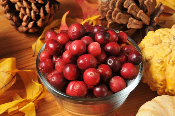 Fresh organic cranberries — Stock Photo, Image