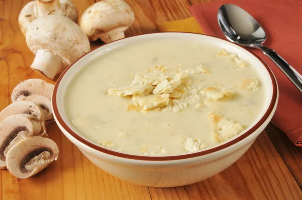 Cream of mushtoom soup — Stock Photo, Image