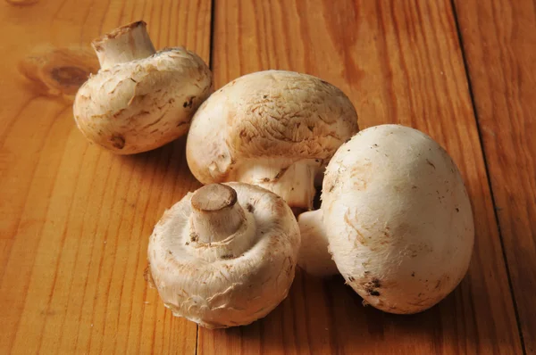 Свежие органические грибы — стоковое фото