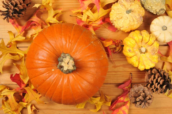 Pumpkin with autumn leaves — Stock Photo, Image