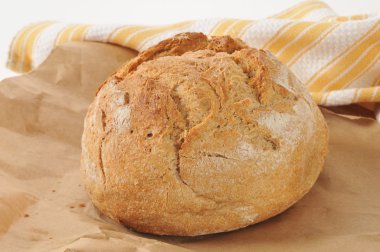 Bütün ne ekmek