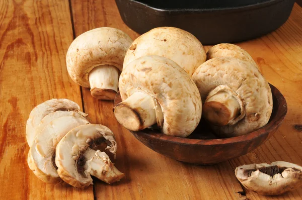 Fresh mushrooms — Stock Photo, Image