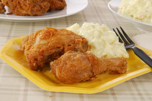 Fried chicken on a picnic plate — Stock Photo, Image