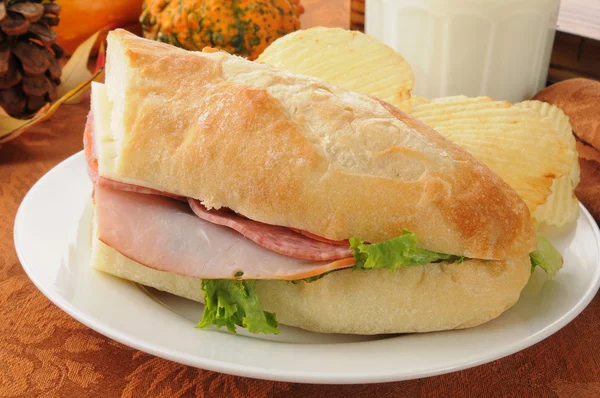 Hogie sandwich — Stockfoto